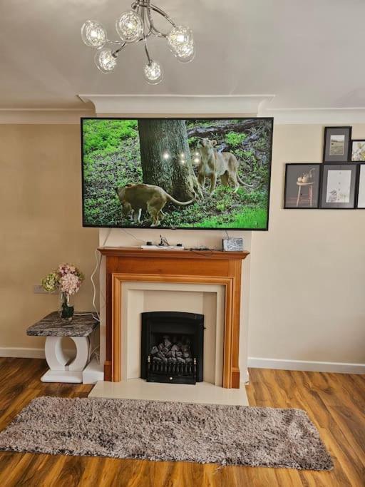 Feel at home away from home