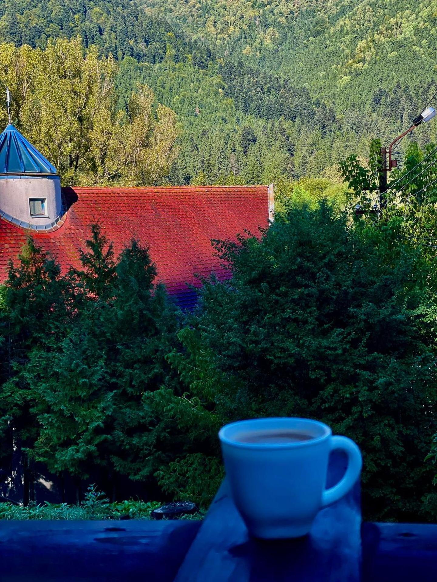 Casa de oaspeti Kinga's Crown