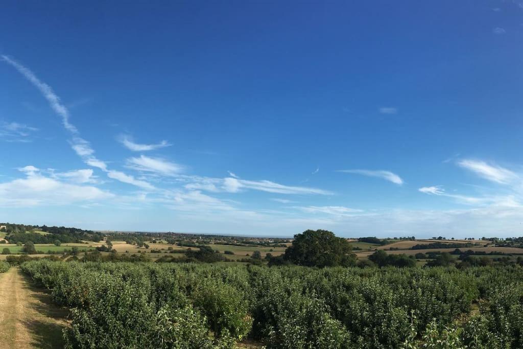 The Cart Loft - Private Apartment on farm in Rye
