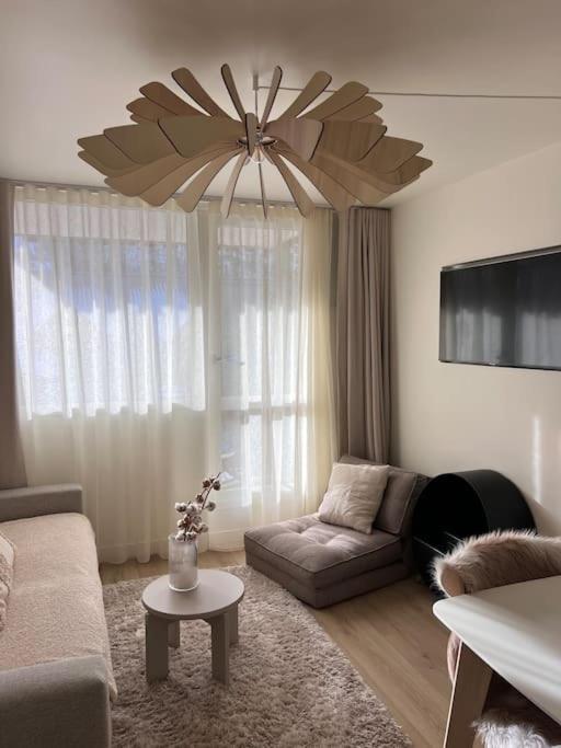 Baby Jane, Studio front de neige