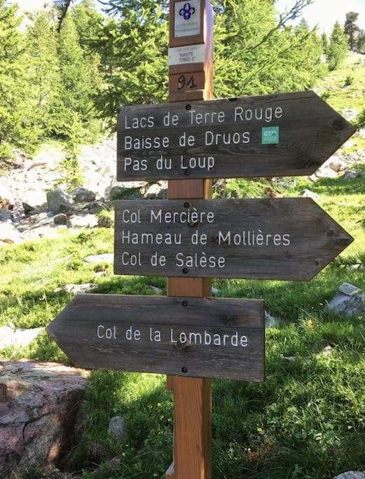 Baby Jane, Studio front de neige