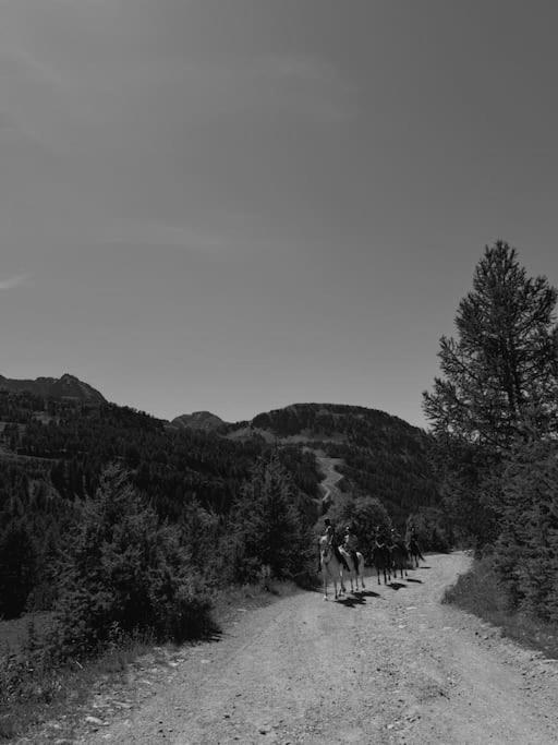 Baby Jane, Studio front de neige