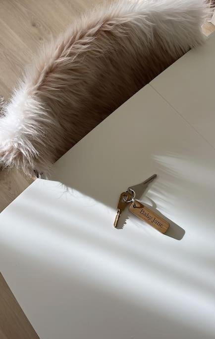 Baby Jane, Studio front de neige