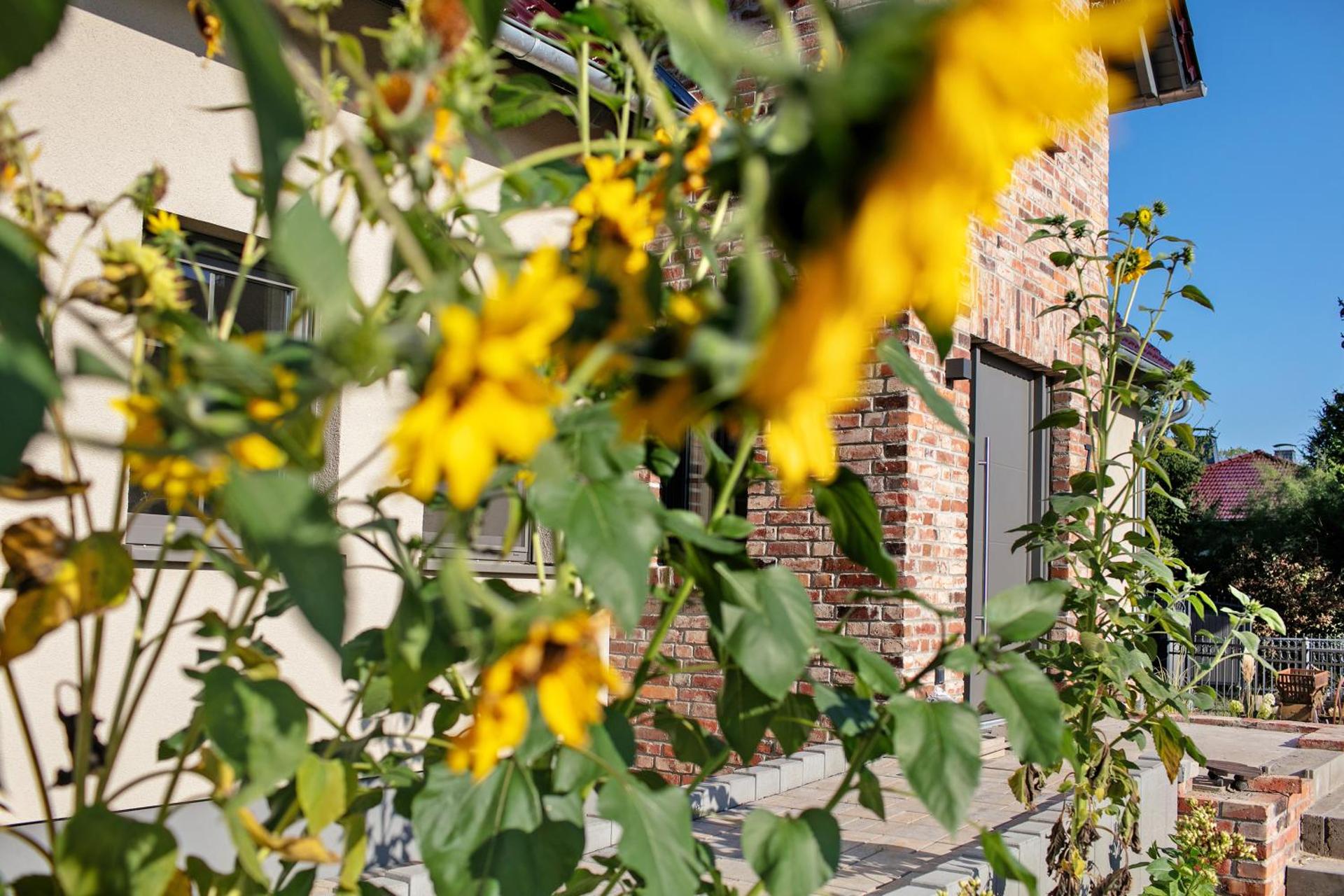 Ferienwohnungen Stolzenhagener 7