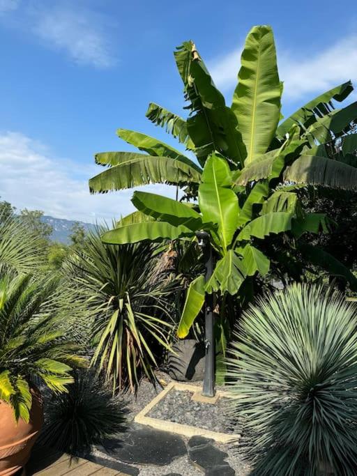 Villa La Quiete Inn -Private Pool - Parking - Wifi