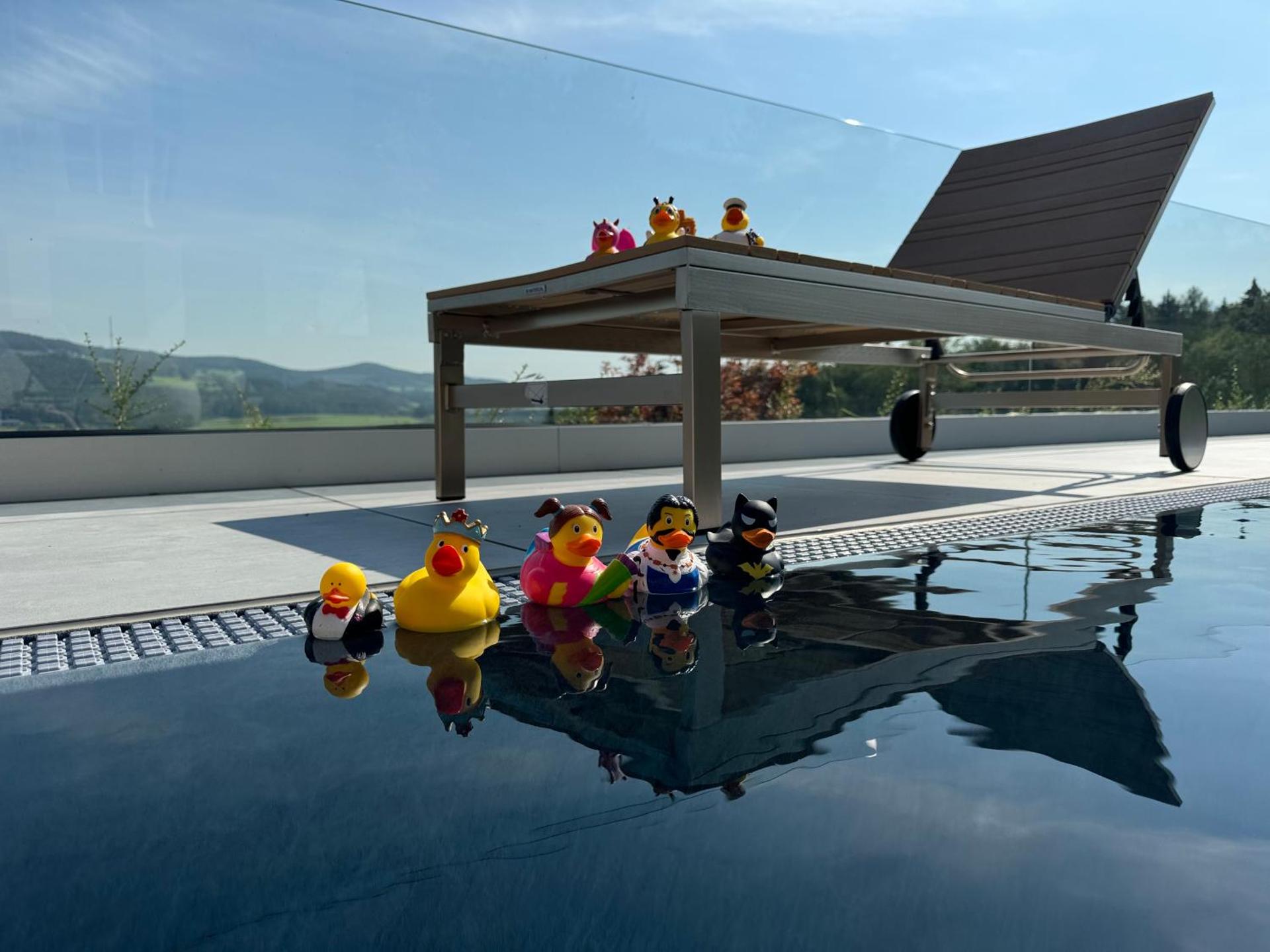 Haus Vogl - Fewo mit priv. Sauna und traumhaften Salzwasser-Pool