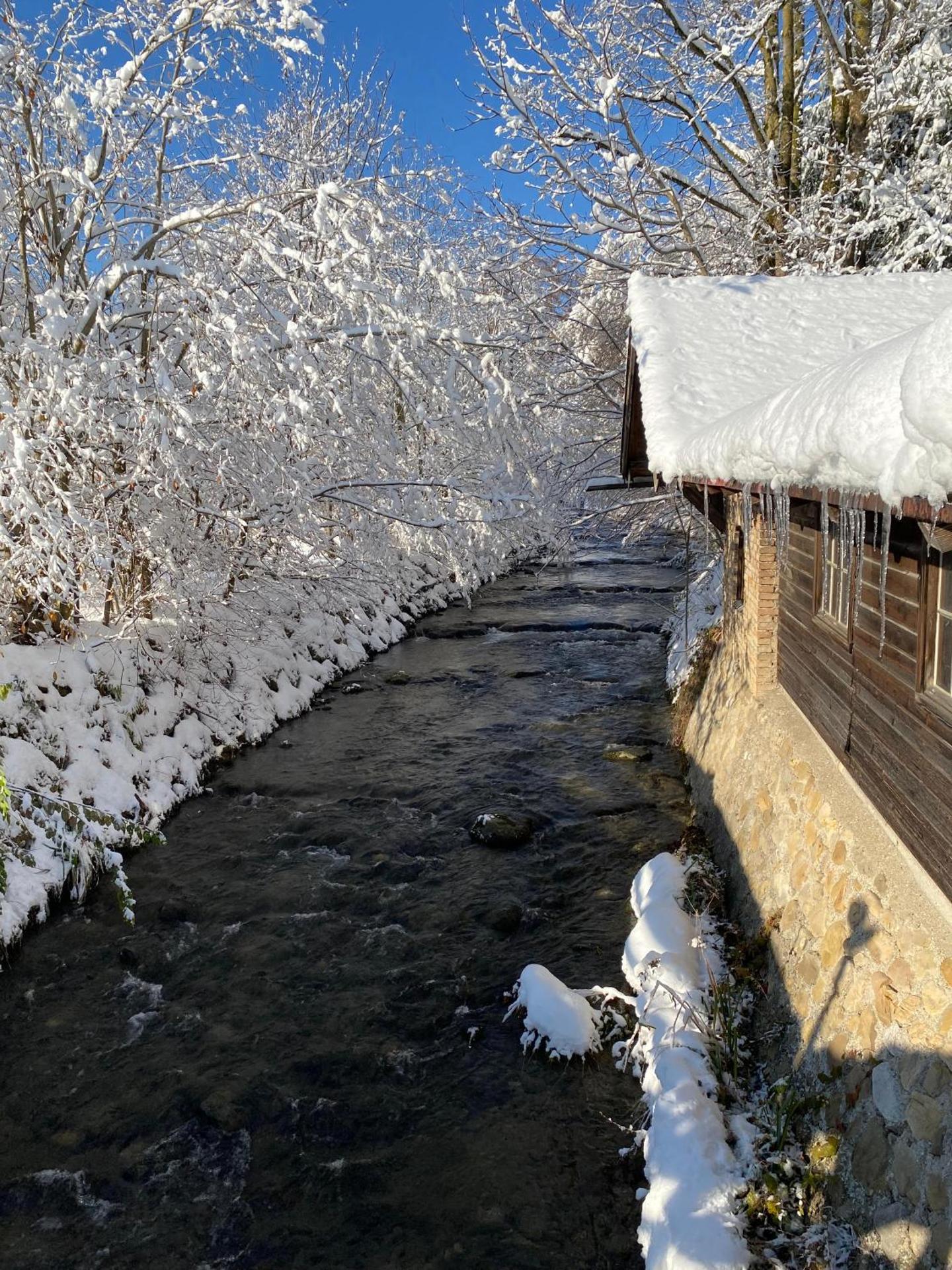 Haus Vogl - Fewo mit priv. Sauna und traumhaften Salzwasser-Pool