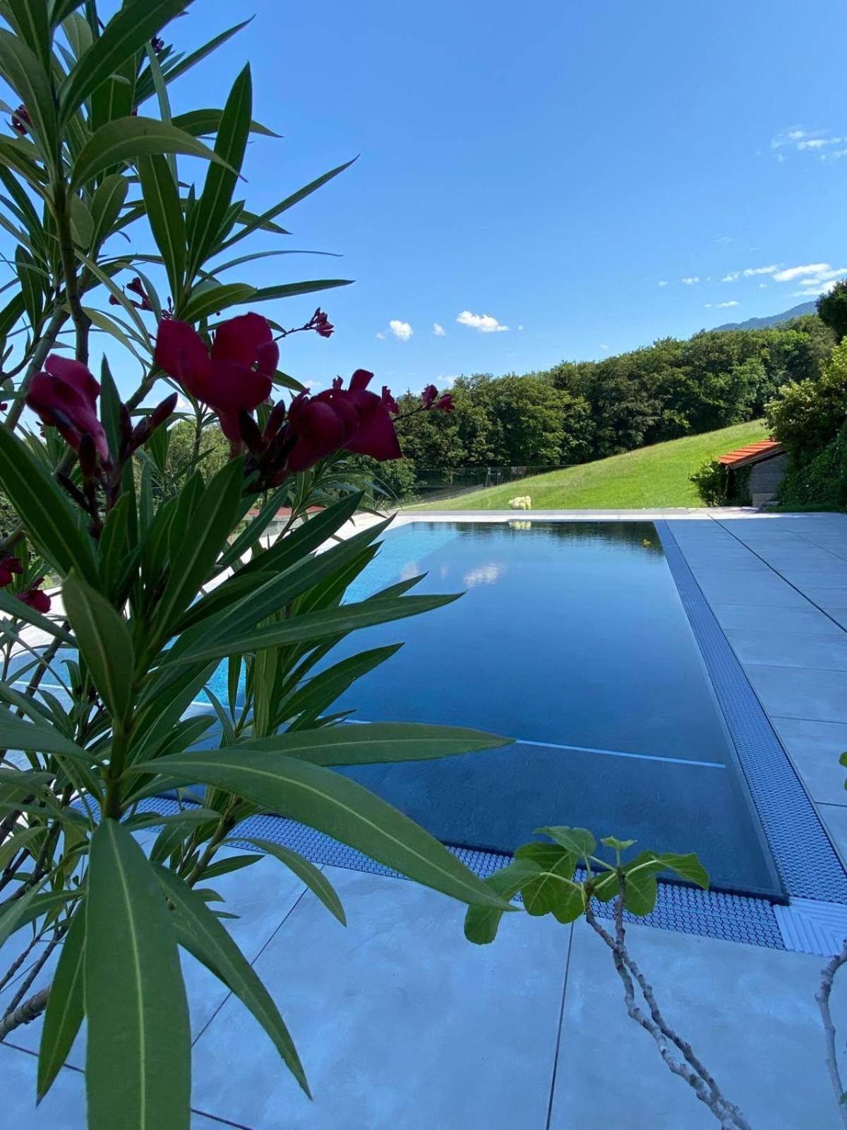 Haus Vogl - Fewo mit priv. Sauna und traumhaften Salzwasser-Pool