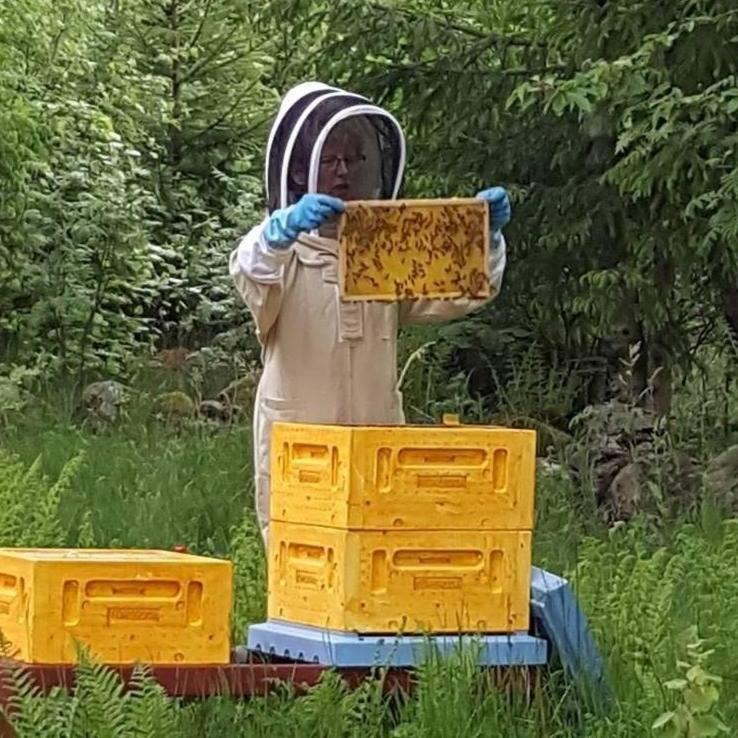 Gäststuga i vacker natur, bastu, bubbelpool sommartid och gratis parkering nära Ulricehamn och Lassalyckan, guesthouse with nice view with sauna and free parking close to Dalsjöfors and fishing