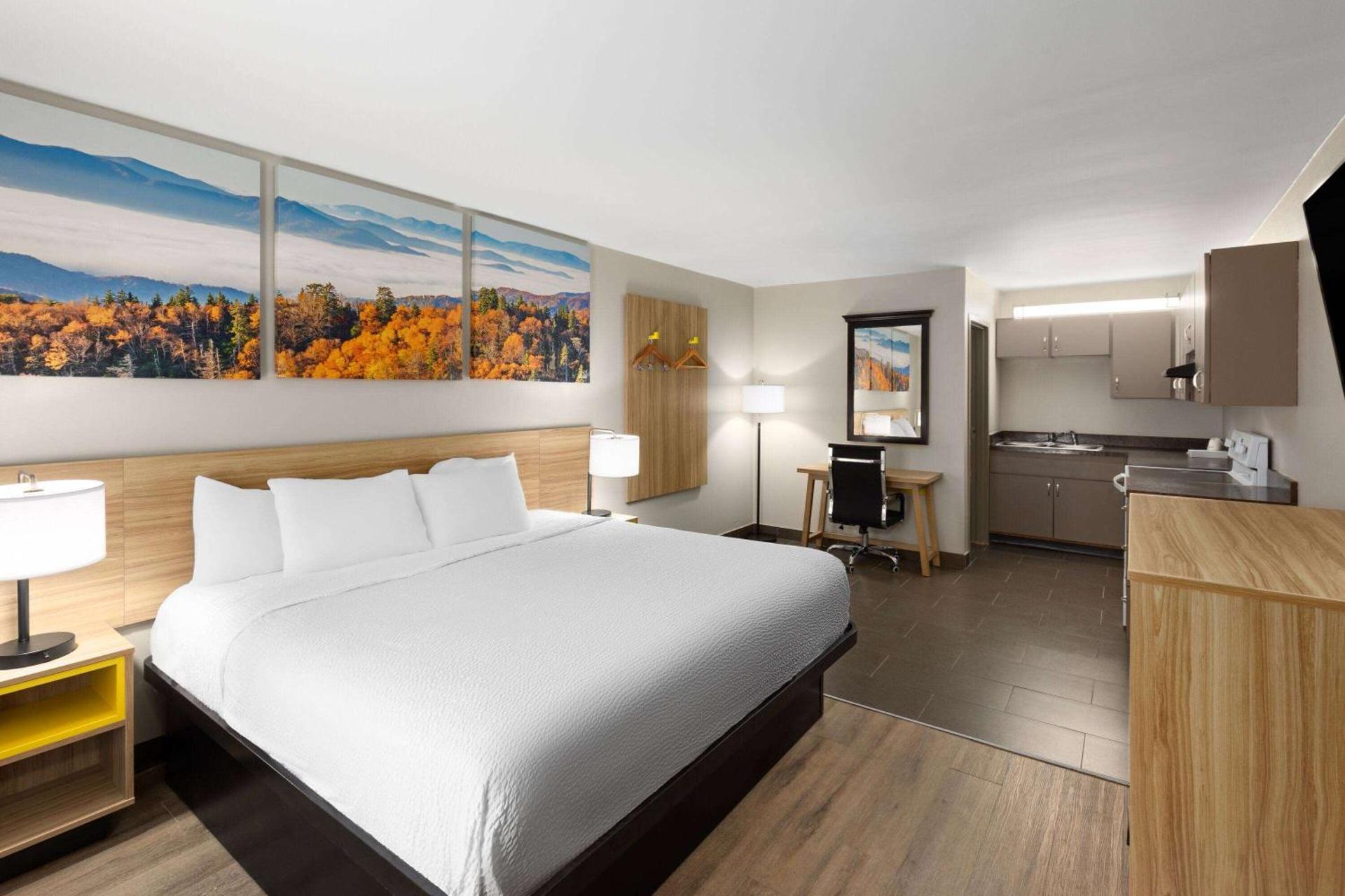 Photo of the whole room