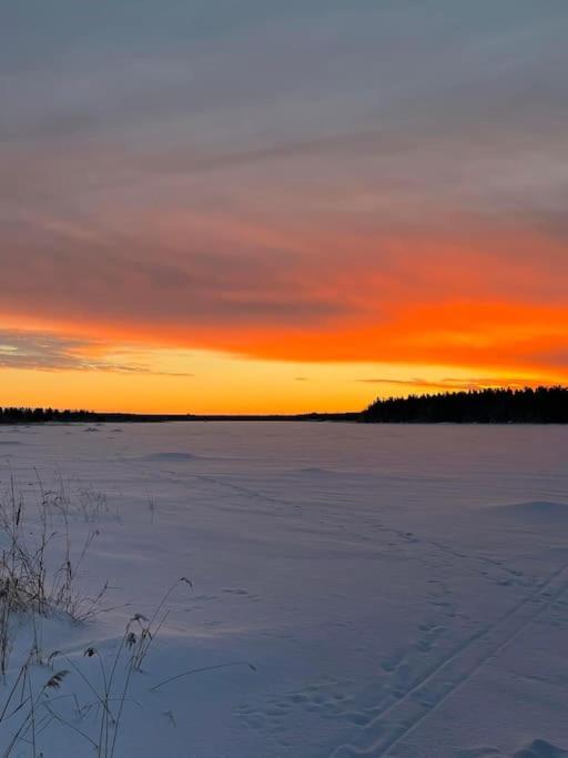 Modernia majoitusta luonnon keskellä