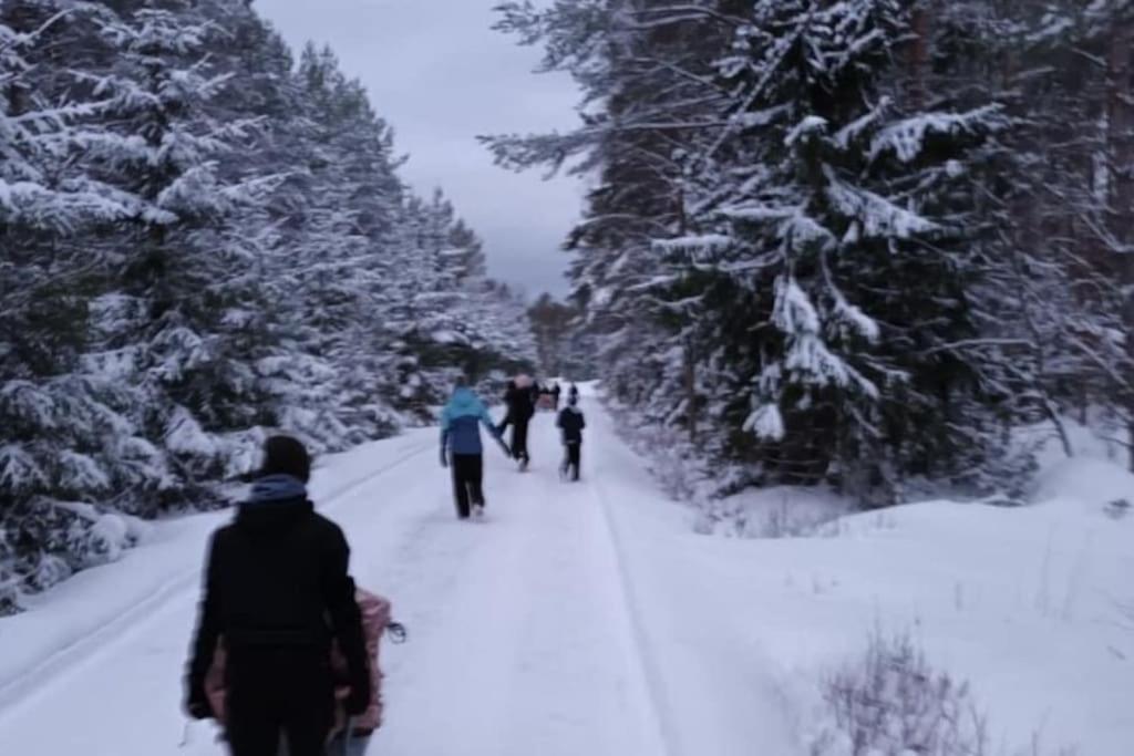 Modernia majoitusta luonnon keskellä