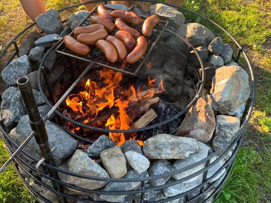 Modernia majoitusta luonnon keskellä