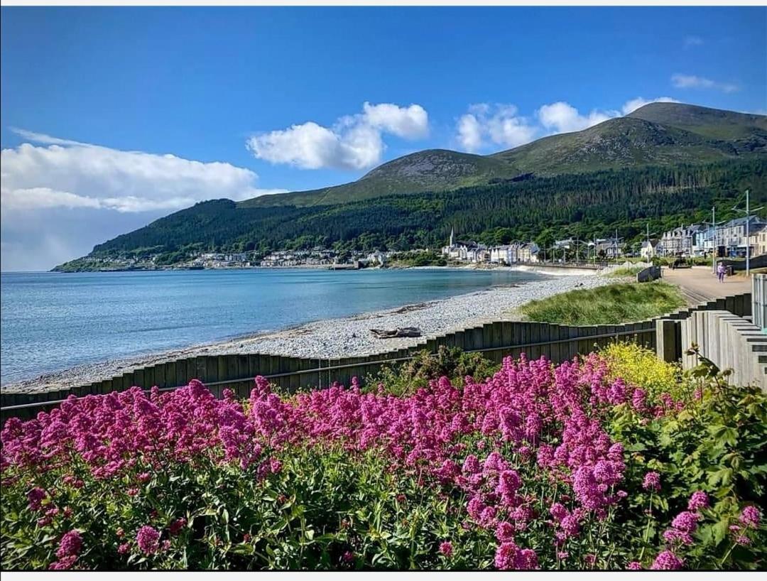 Pebble Creek Apartment