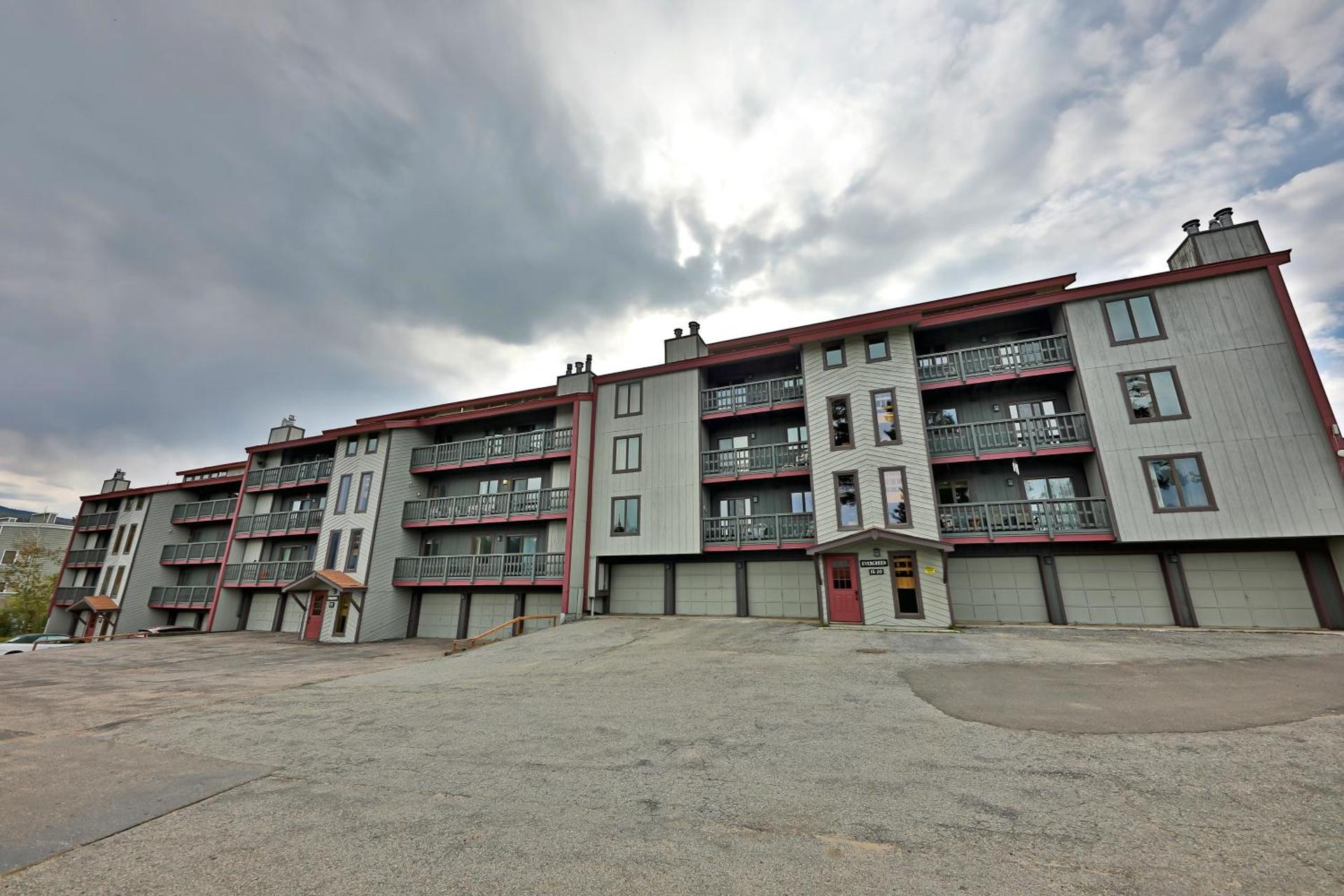 Timber Run Evergreen 9