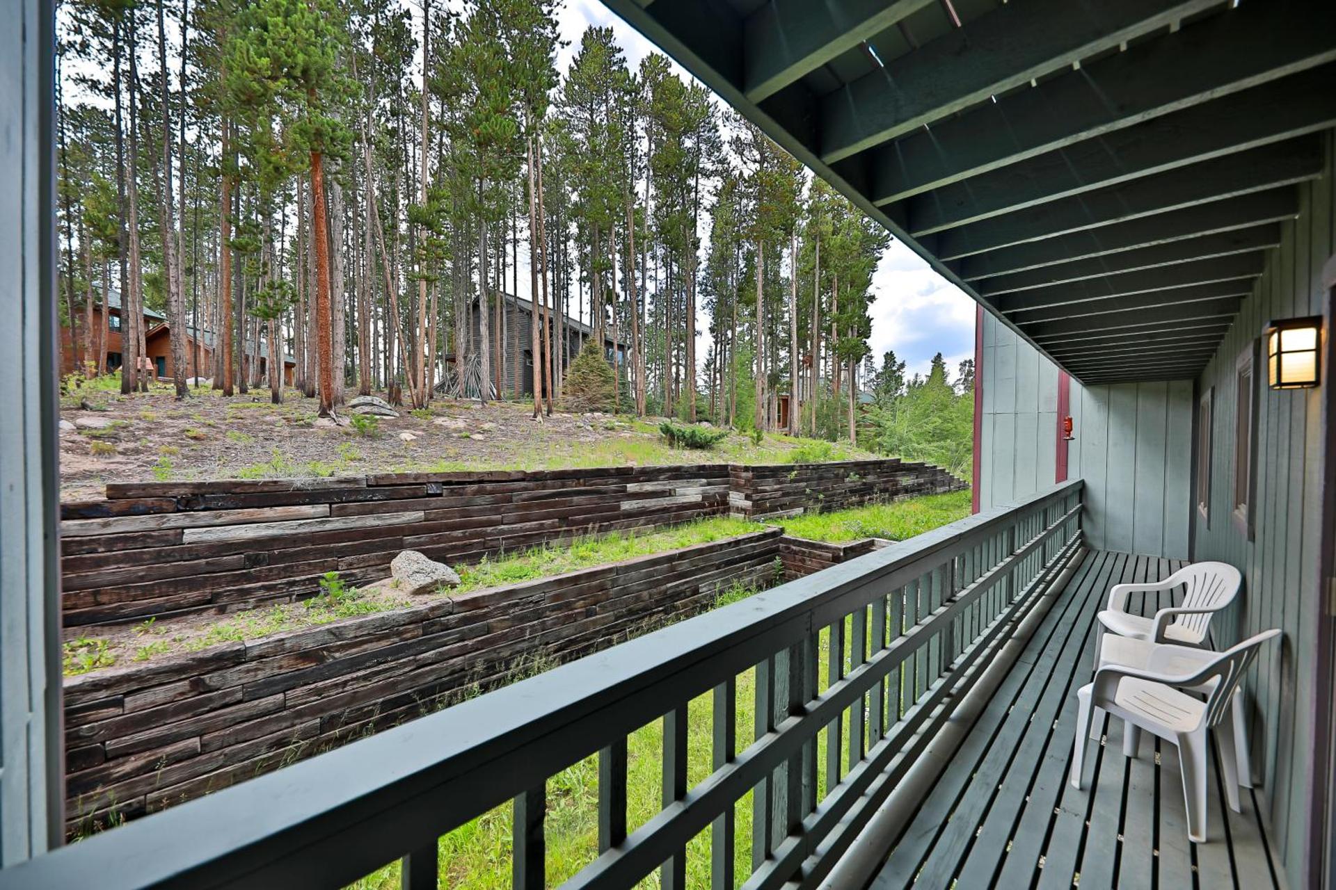 Timber Run Evergreen 9