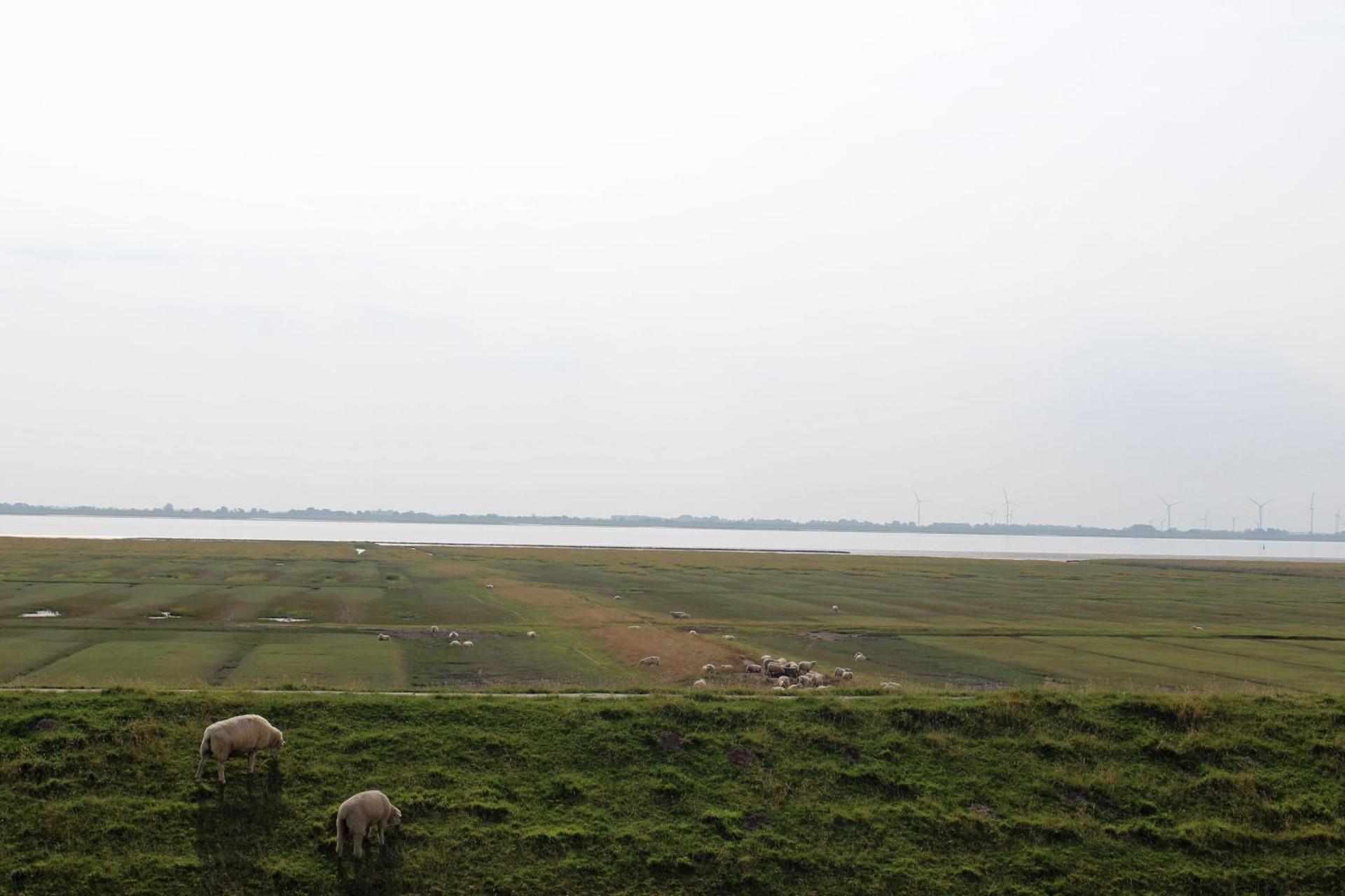 Haus Lith - Meerblick