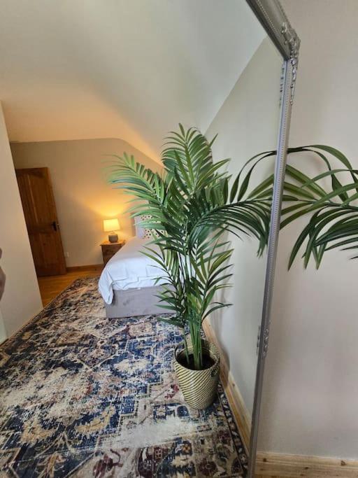 Benroe House 5 Bedrooms