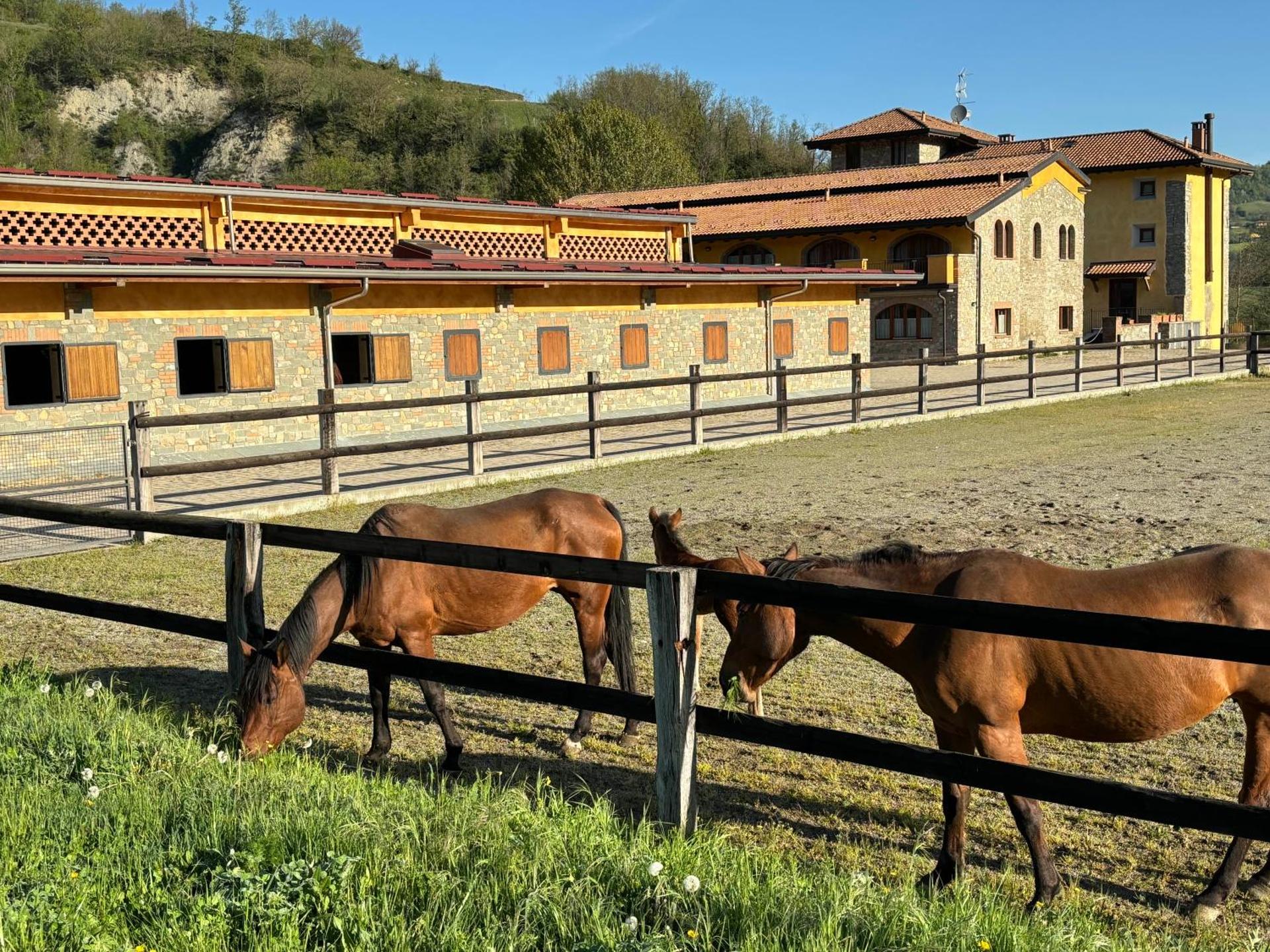 Tenuta Ca' Bella