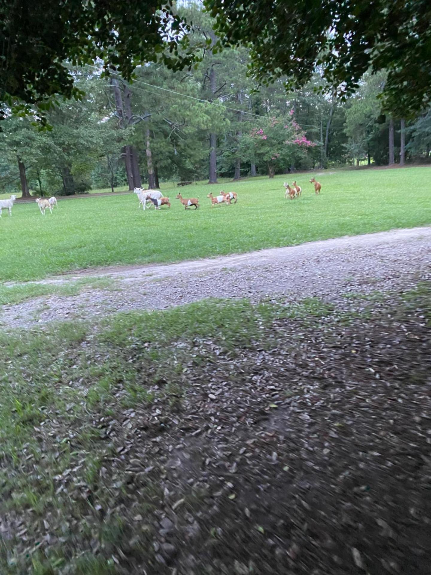 Stinnett Family Farm
