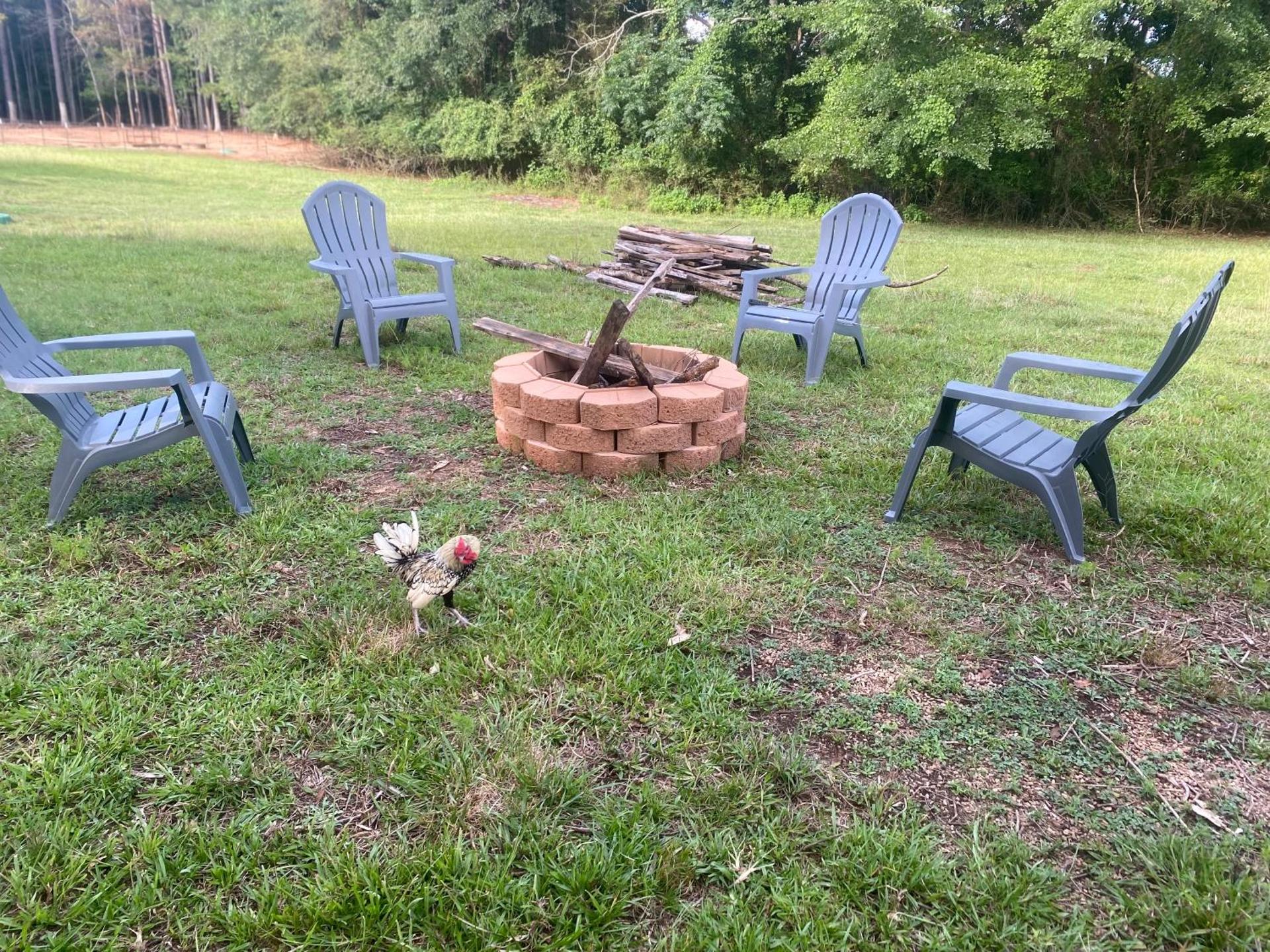Stinnett Family Farm