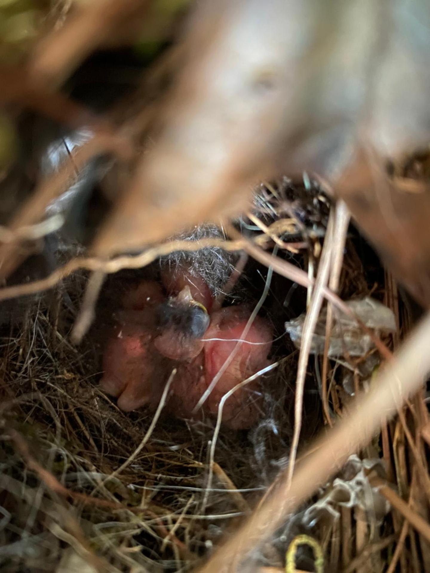 Stinnett Family Farm