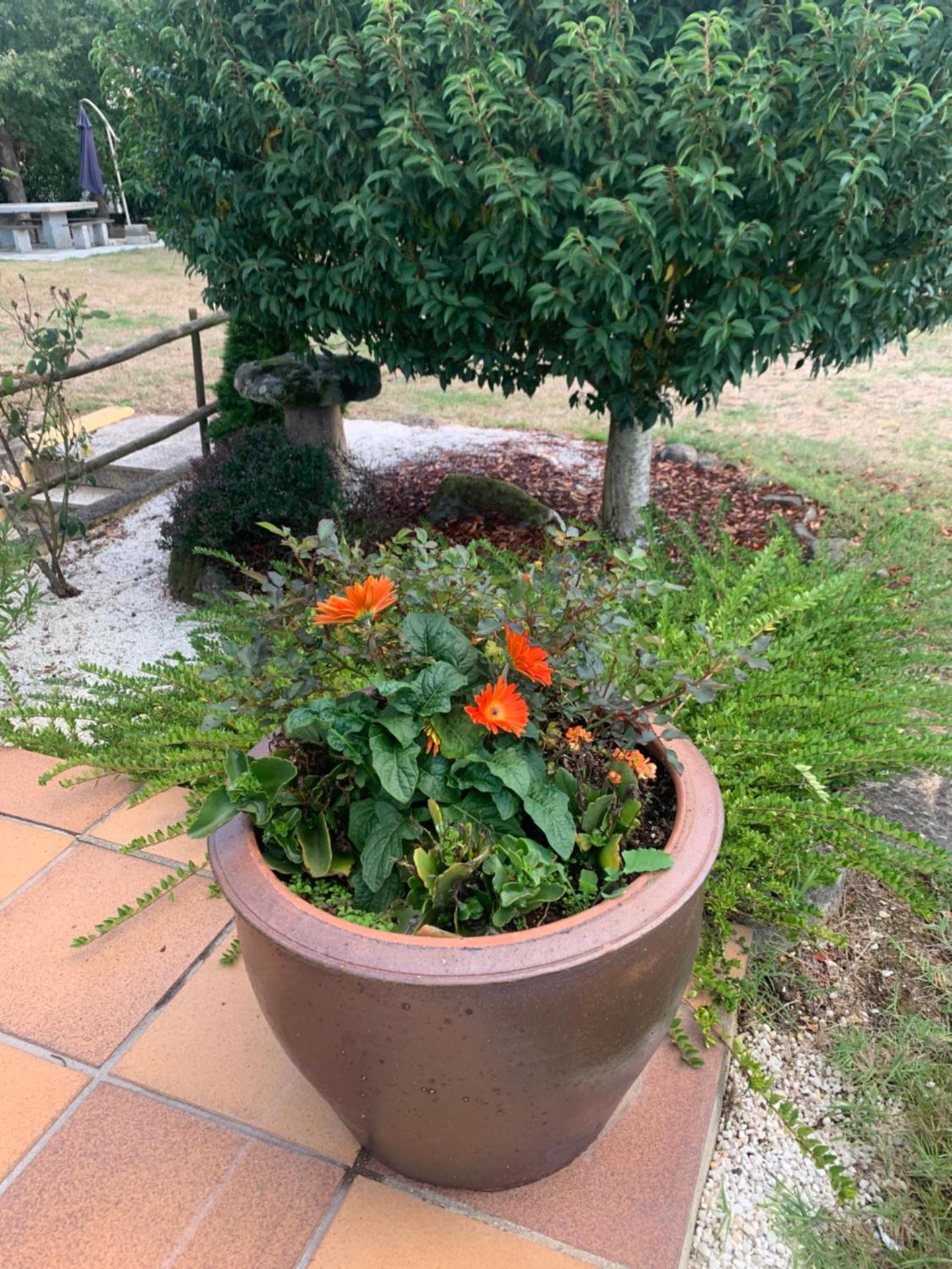 A PORTELA - Pereiro de Aguiar