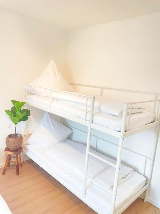 MEGHA Living - 2 Zimmer Appartments mit Küche - Zentral