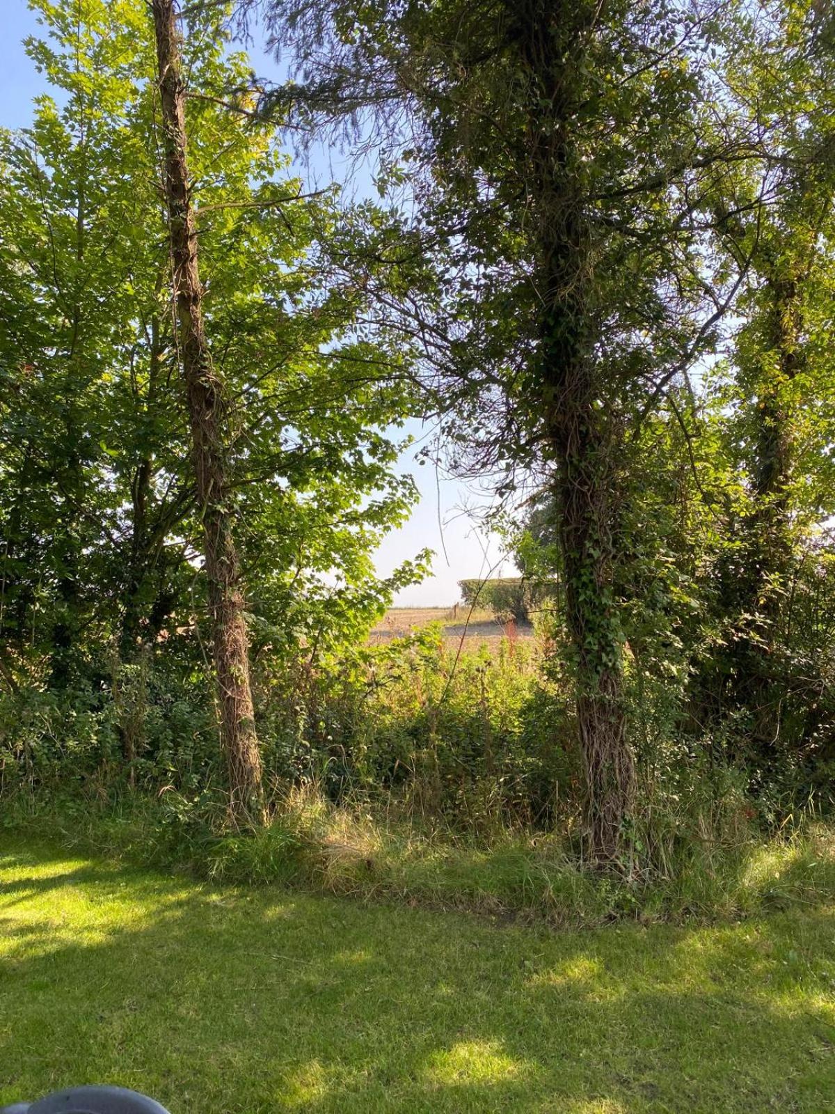 Kildare countryside pods