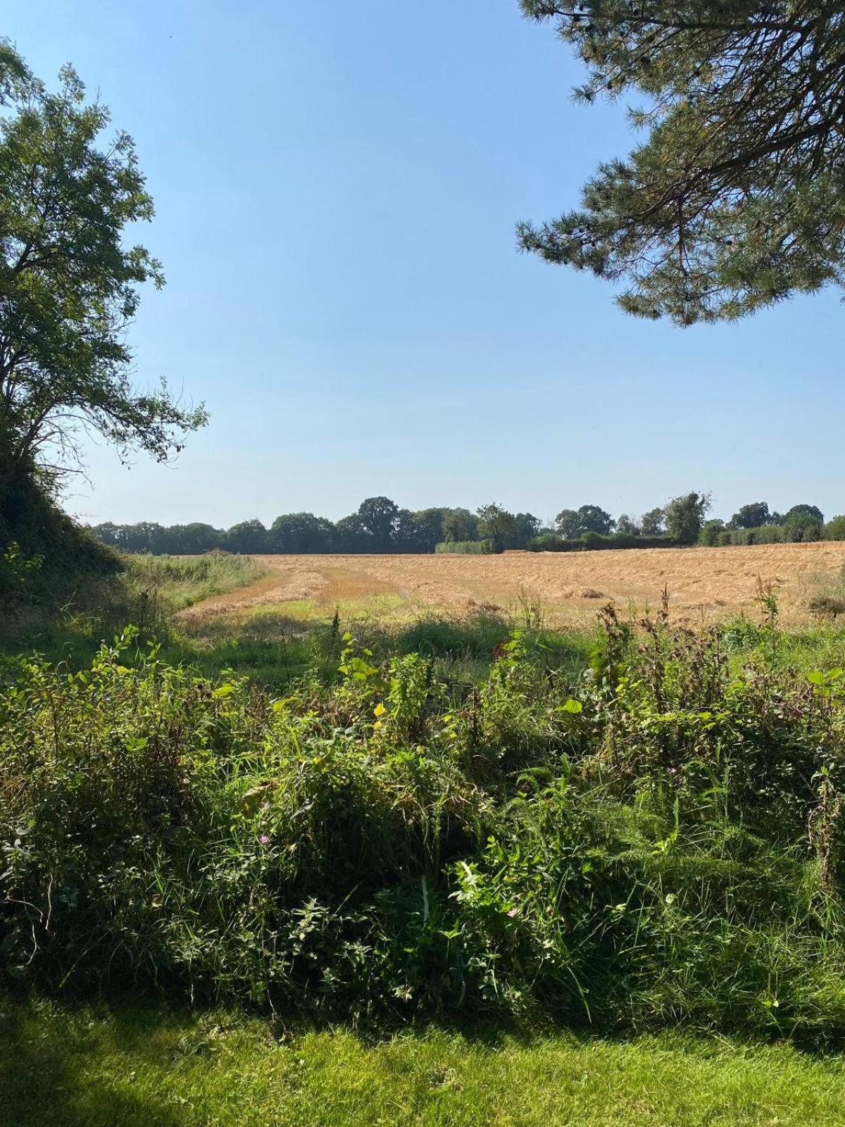 Kildare countryside pods