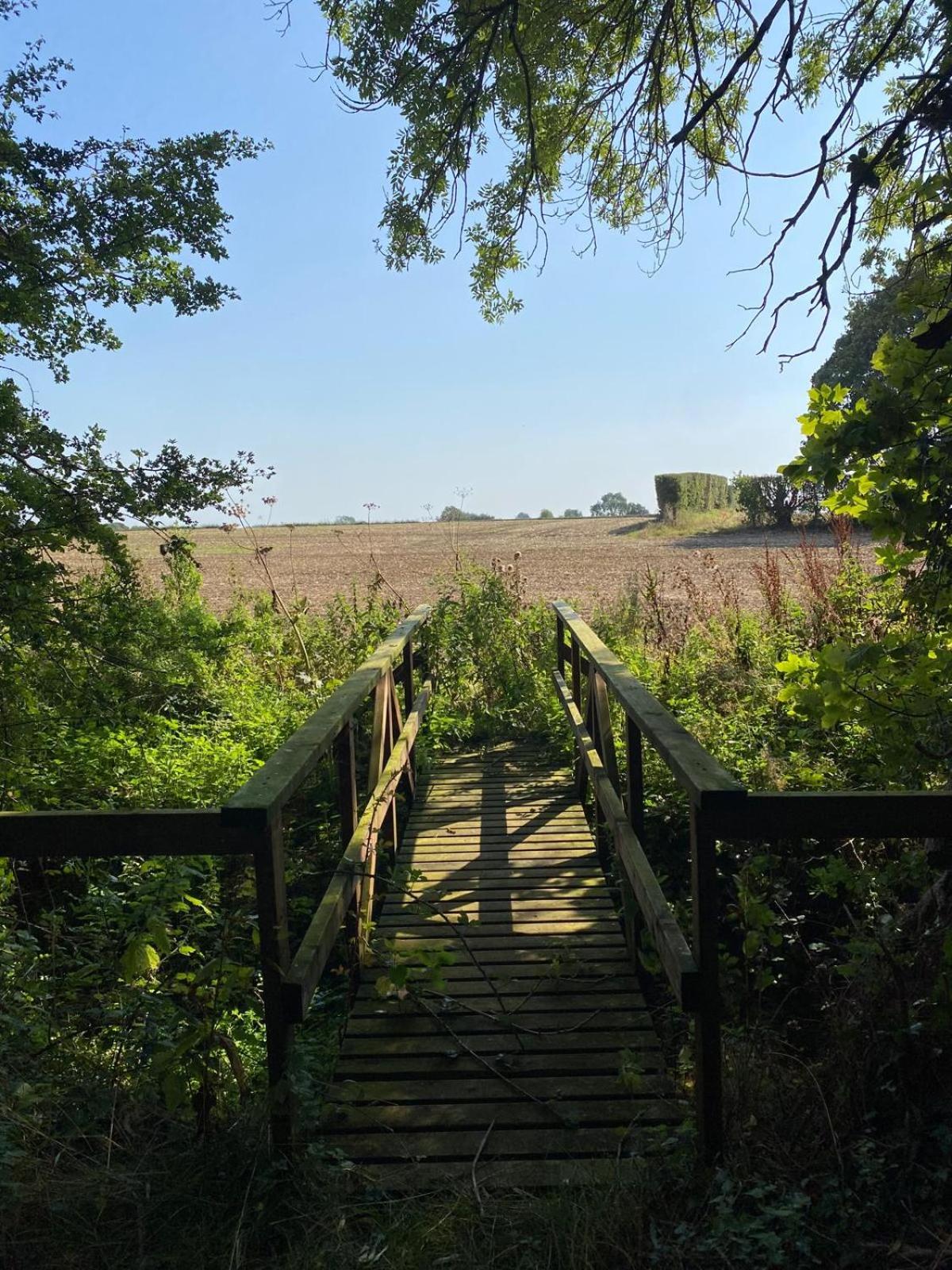 Kildare countryside pods
