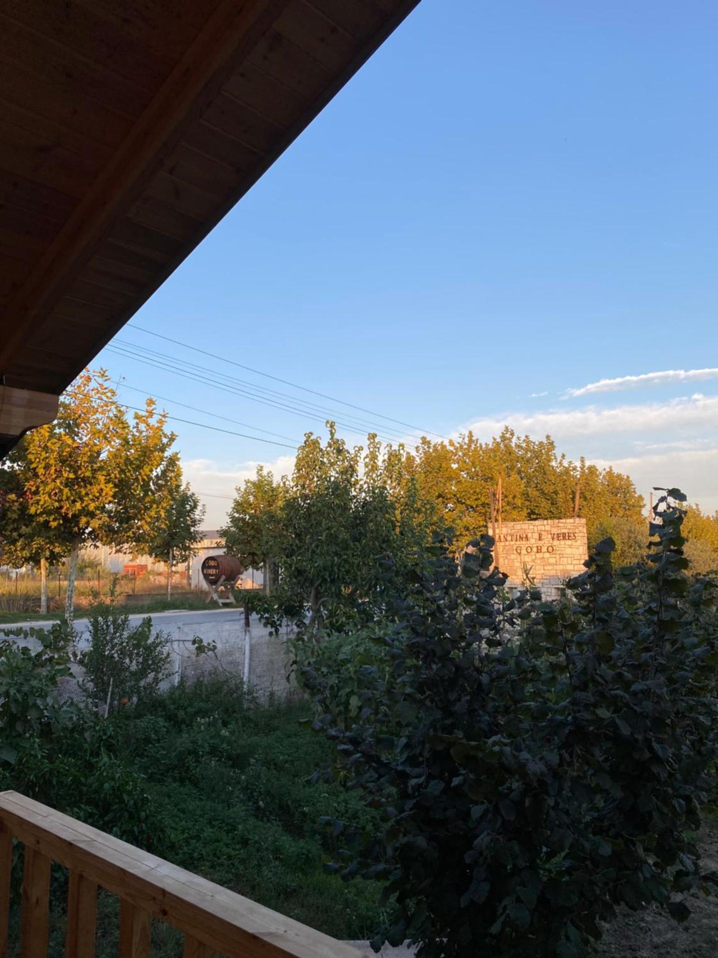 Guest House Dimal Berat