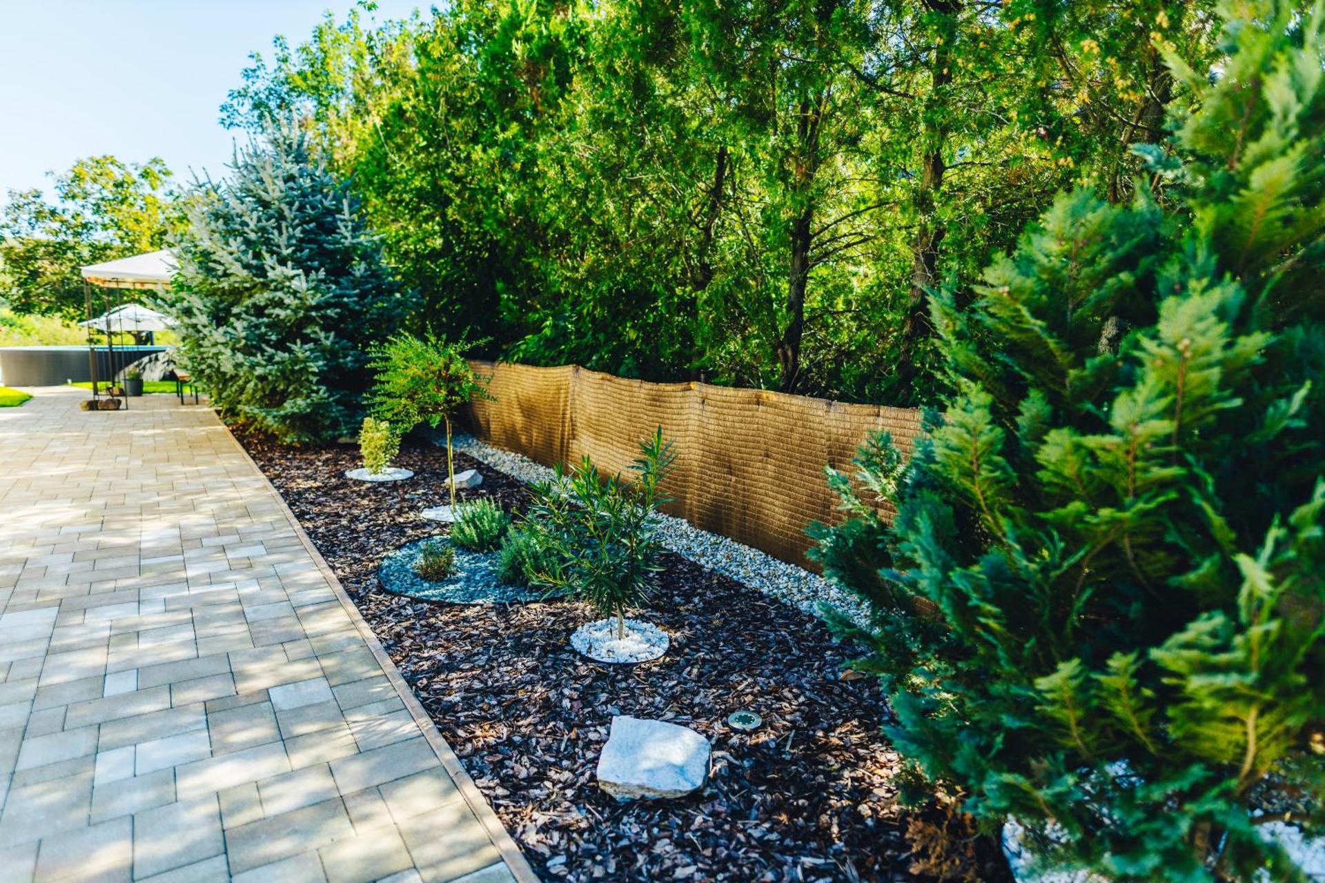 Szőlőszem Vendégházak