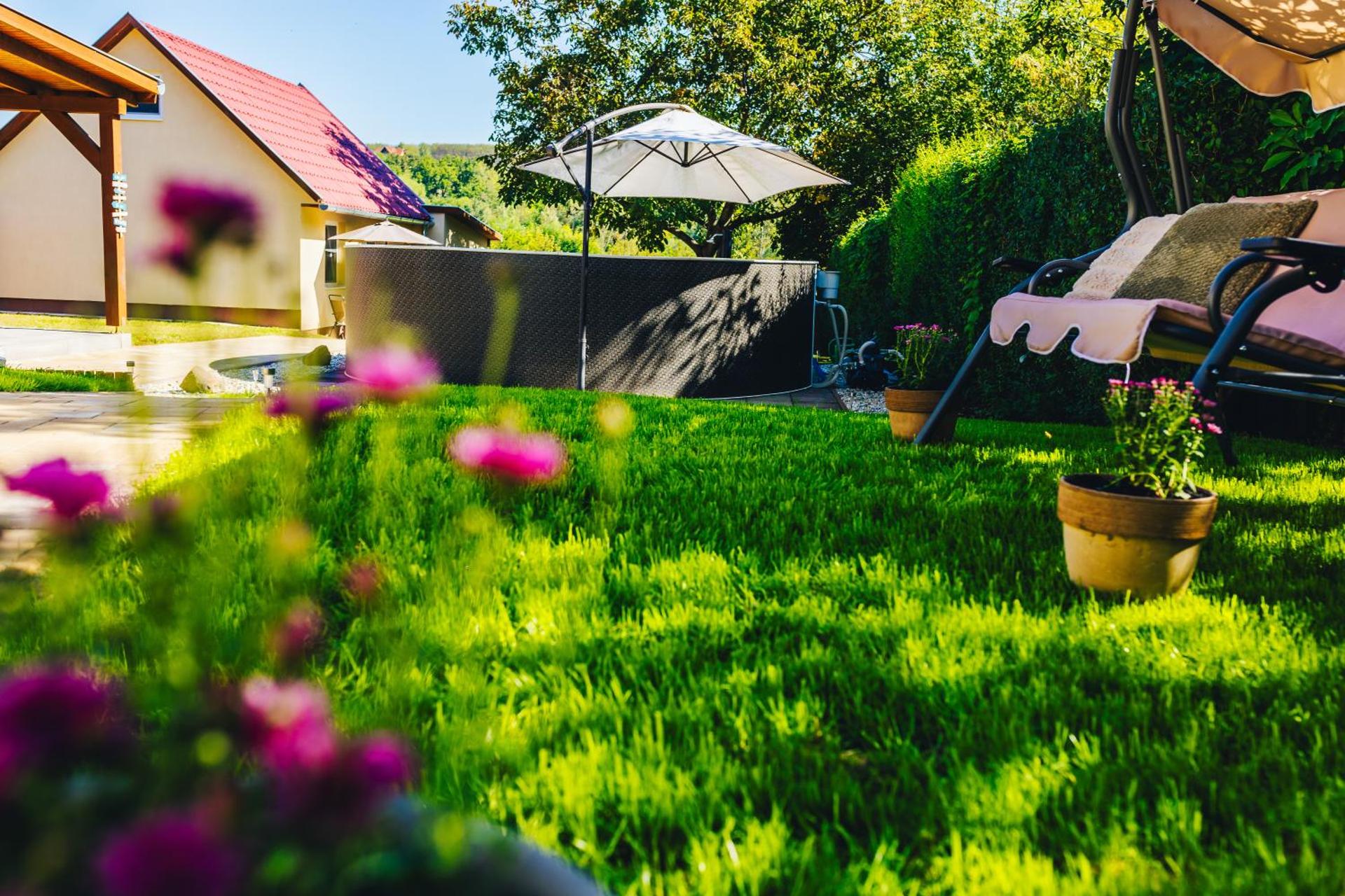 Szőlőszem Vendégházak