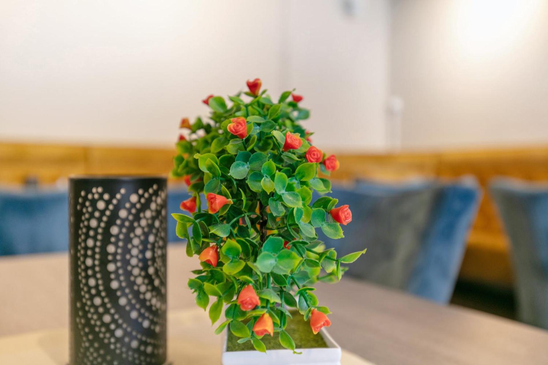 Hotel zur Panke Wohnung 5