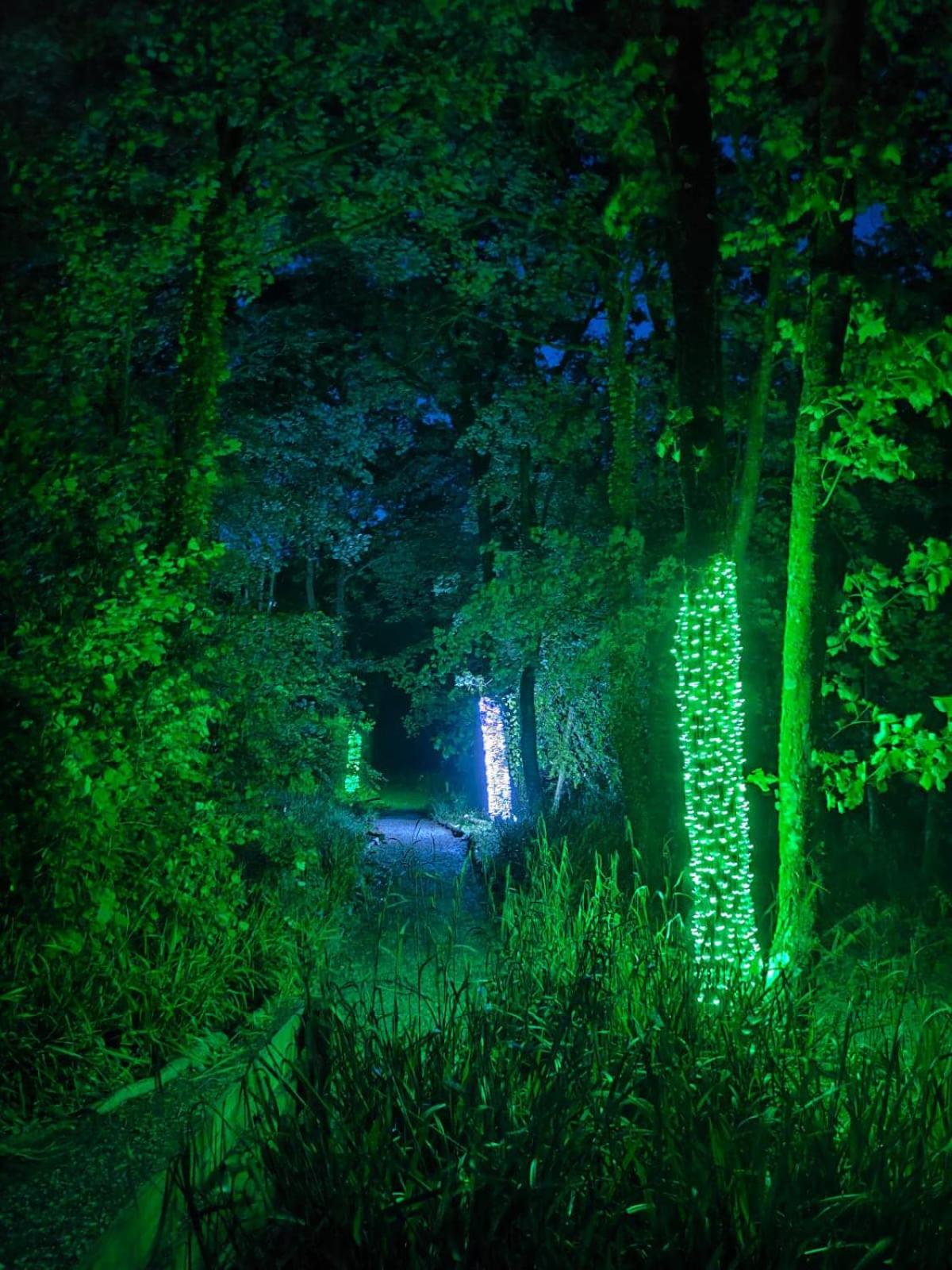 Goldcrest 3-Hot Tub-Woodland Lodges-Carmarthenshire-Tenby