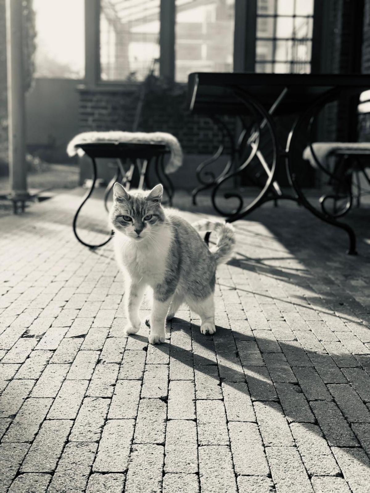 Guesthouse 't Goed Leven