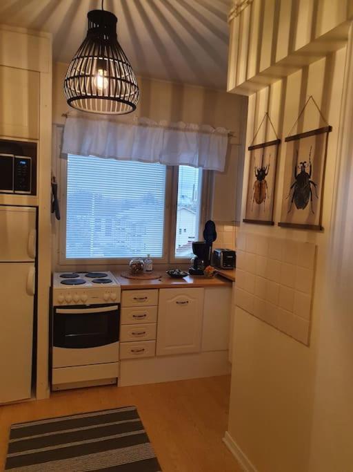 Viihtyisä kaksio torin laidalla 1-4 hengelle