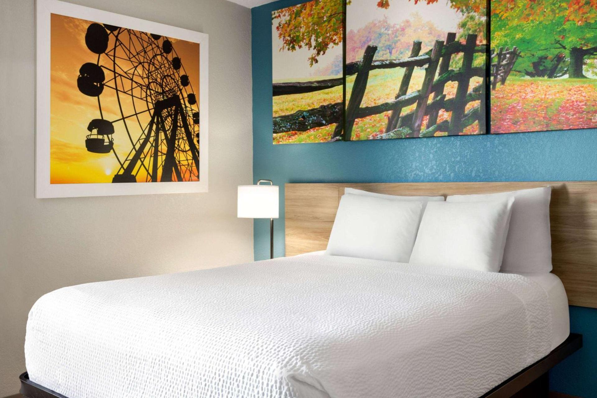 Photo of the whole room