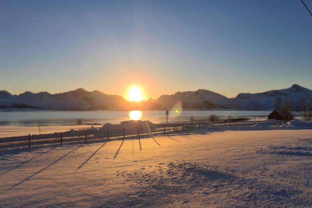 Isabella`s room - Lofoten
