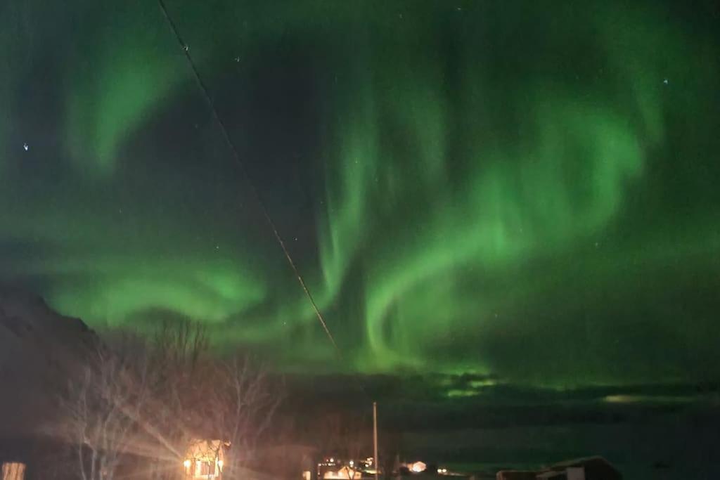 Isabella`s room - Lofoten