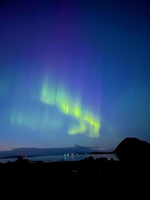 Isabella`s room - Lofoten