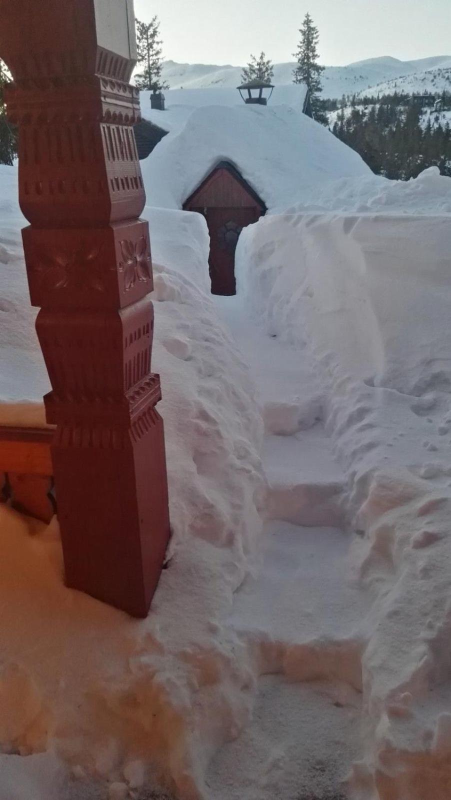 Flott hytte på Lifjell