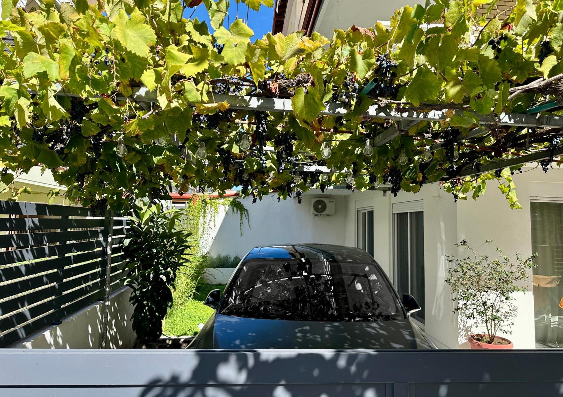 Modern Seaside Retreat with Private Patio and Parking - Blue Zone Homes