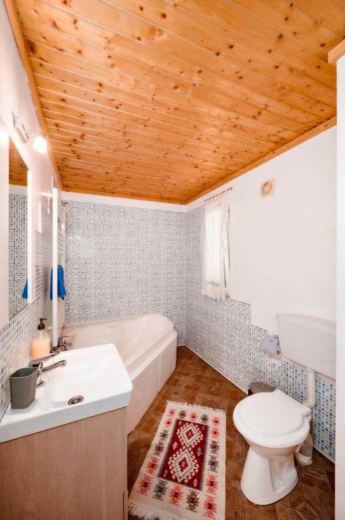 Cabana Mariuca Fundata