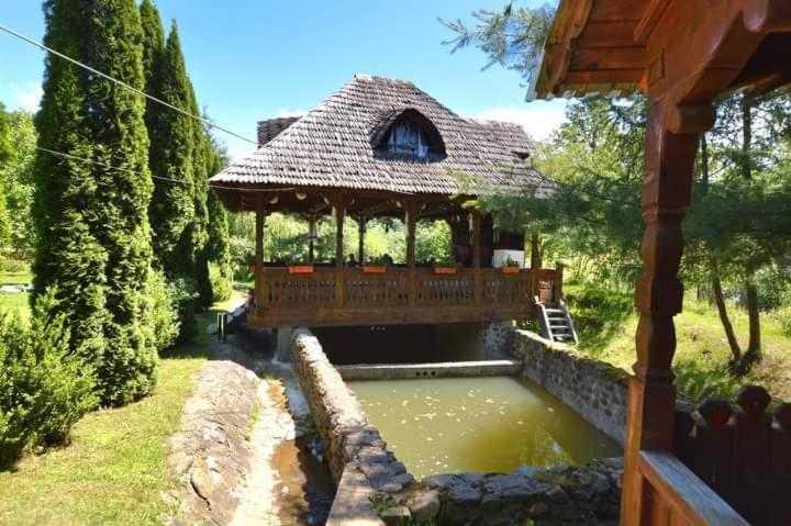 Pensiunea Ancuta din Botiza