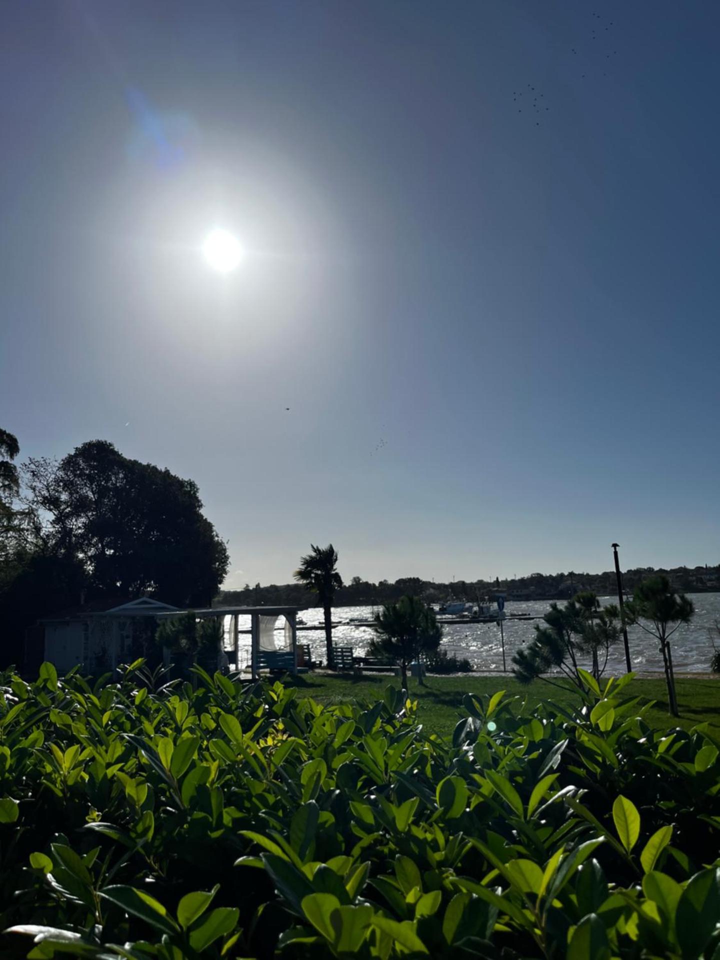 Villa Karigador, Umag- Karigador, Istria