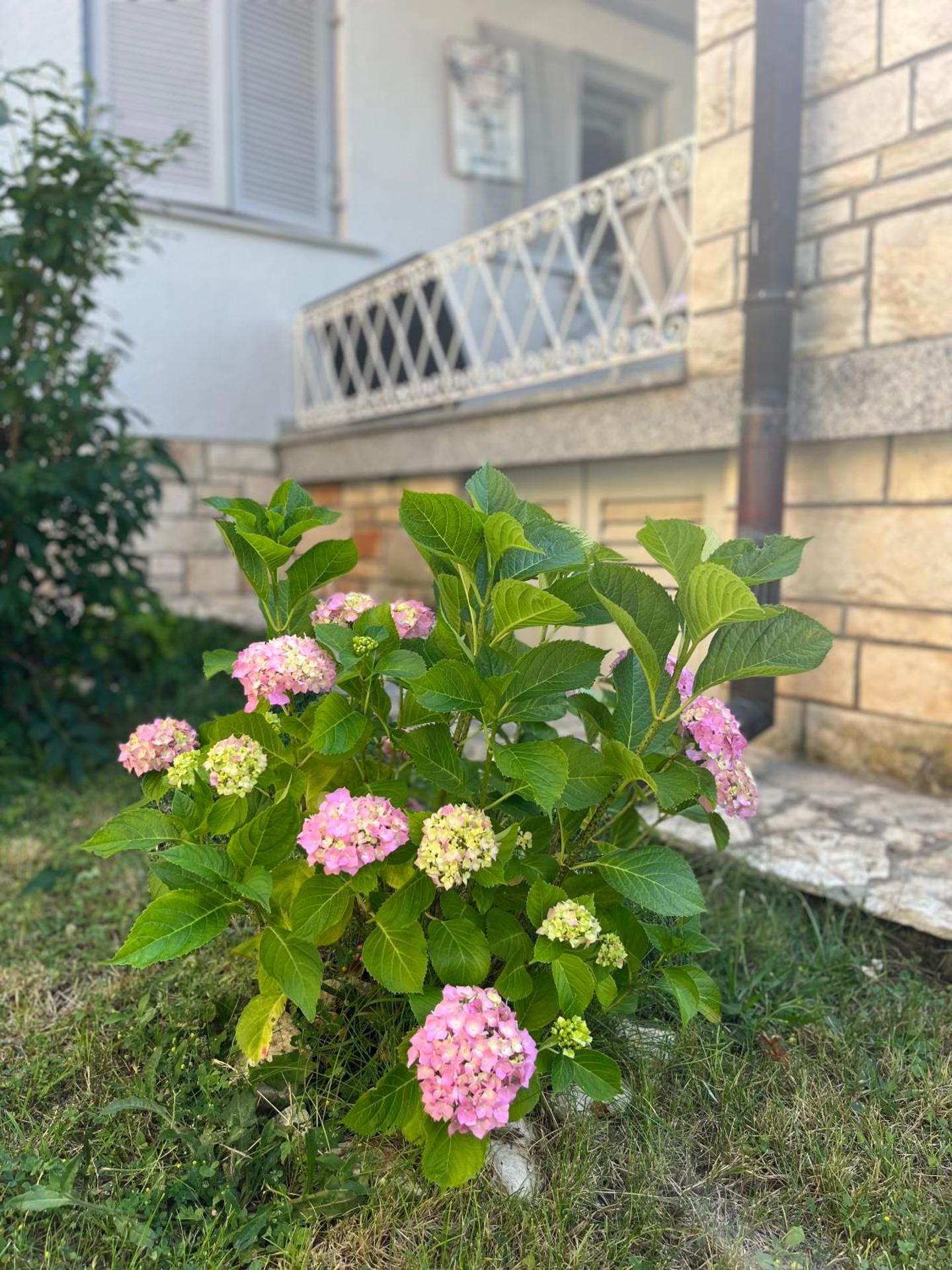 Villa Karigador, Umag- Karigador, Istria