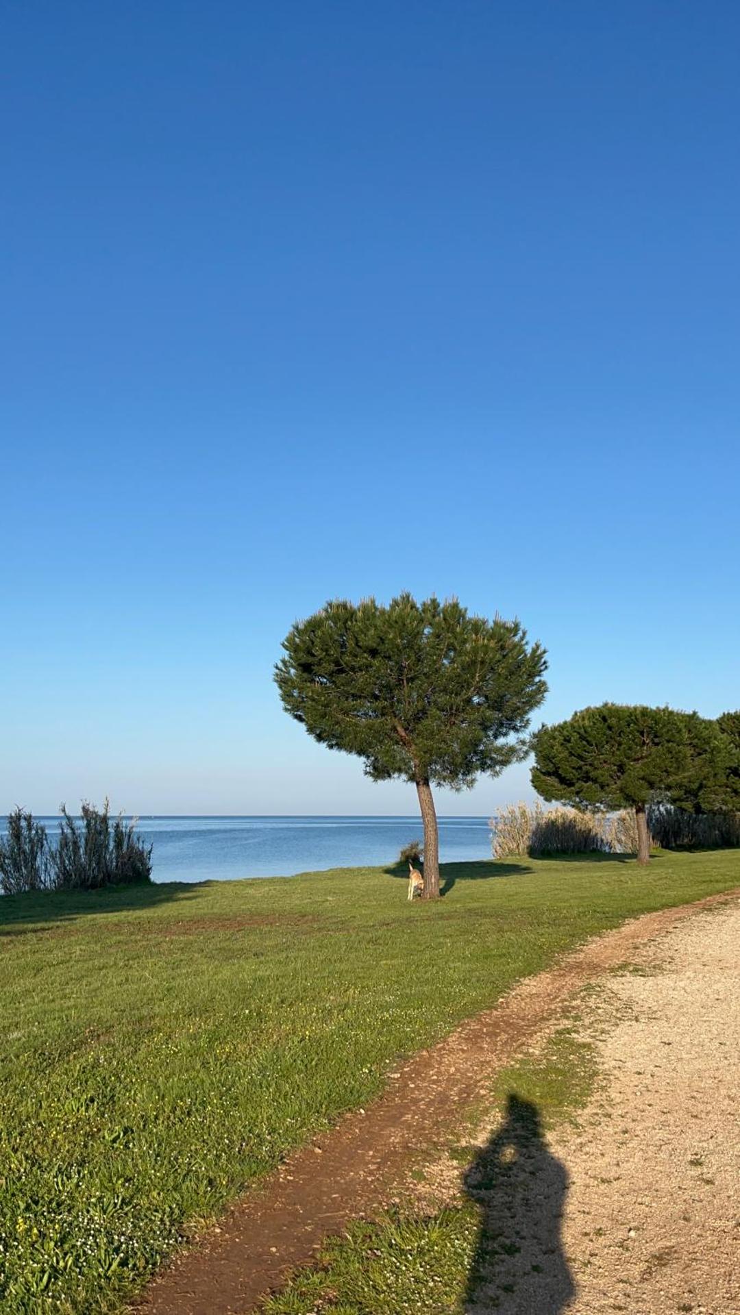 Villa Karigador, Umag- Karigador, Istria