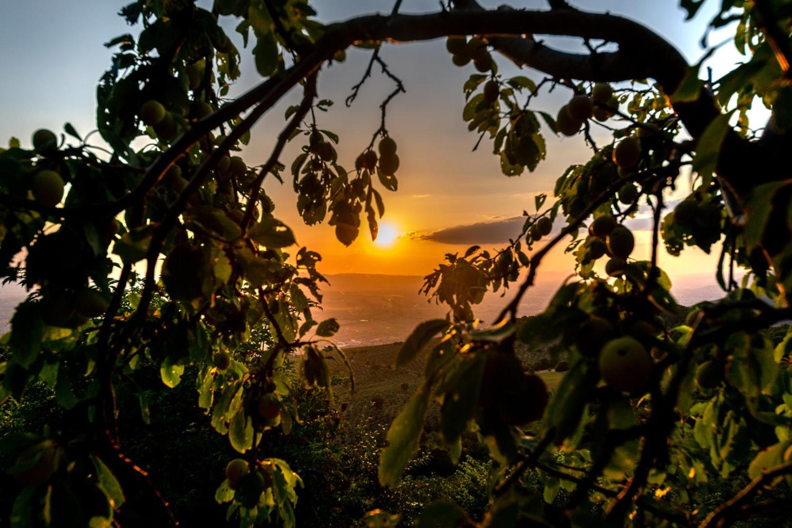 Le Tradizioni Casa Vacanze